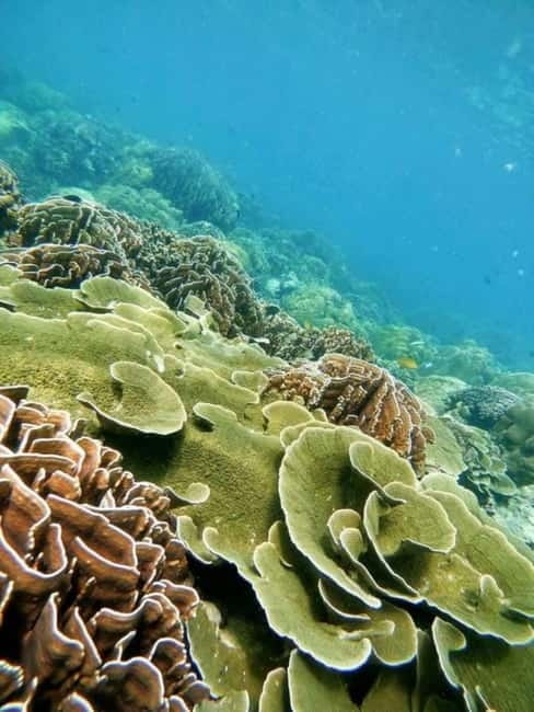 Langkawi: Floating Restaurant & Snorkeling Trip - The boat ride and mangrove cruise: scenery with a schedule