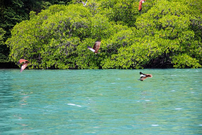 Langkawi Half Day Island Hoping Tour- Sharing basis - Why this half-day Langkawi island hop makes sense