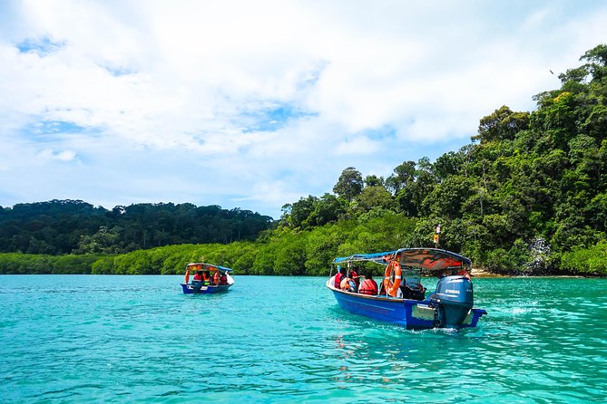 Langkawi Half Day Island Hoping Tour- Sharing basis - Pulau Singa Besar: eagle feeding and the king-of-the-skies moments