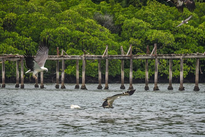 Langkawi Half Day Island Hoping Tour- Sharing basis - What you actually get for the $18.18 price