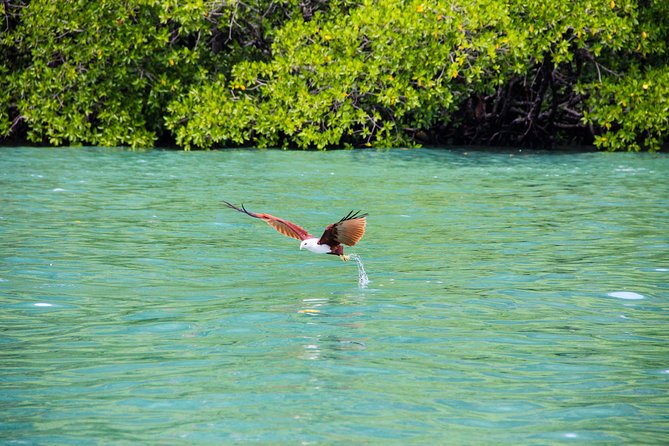 Langkawi Half Day Island Hoping Tour- Sharing basis - Weather rules and how to fit this tour into your Langkawi plan