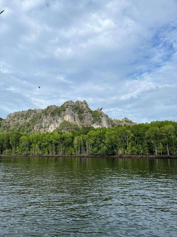 Langkawi: Half-Day Private Kilim River Mangrove Boat Tour - Bat Cave, caves and short stops that set the tone