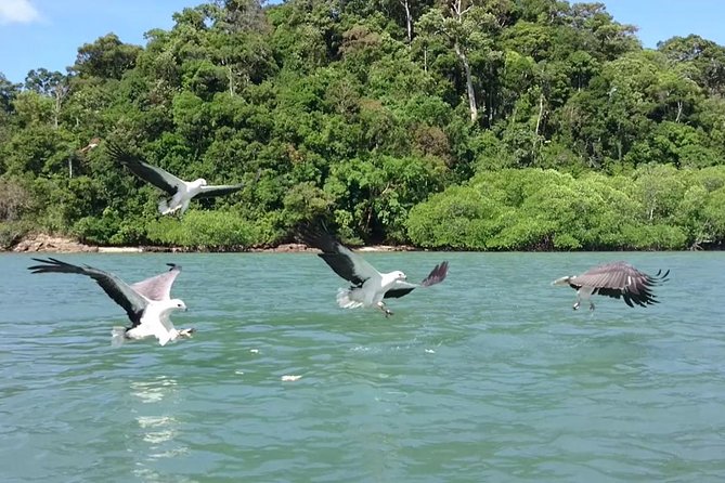 Langkawi Island Hopping Boat Tour with Return Transfer - Pickup Timing and Jetty Logistics That Actually Matter