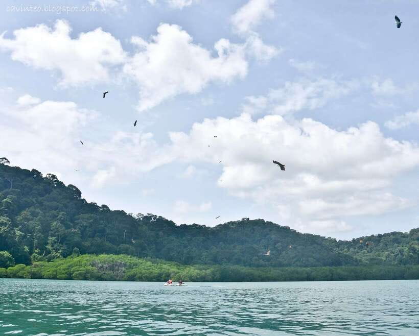 Langkawi: Island Hopping Tour - How Much Time You Really Get on Each Stop (So You Prioritize Right)