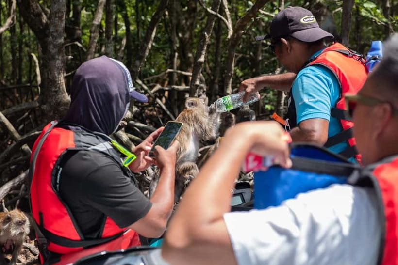 Langkawi: Jet Ski Tour UNESCO Kilim Geopark Free Video - Mangrove River Cruise: The Part Where Langkawi Slows Down