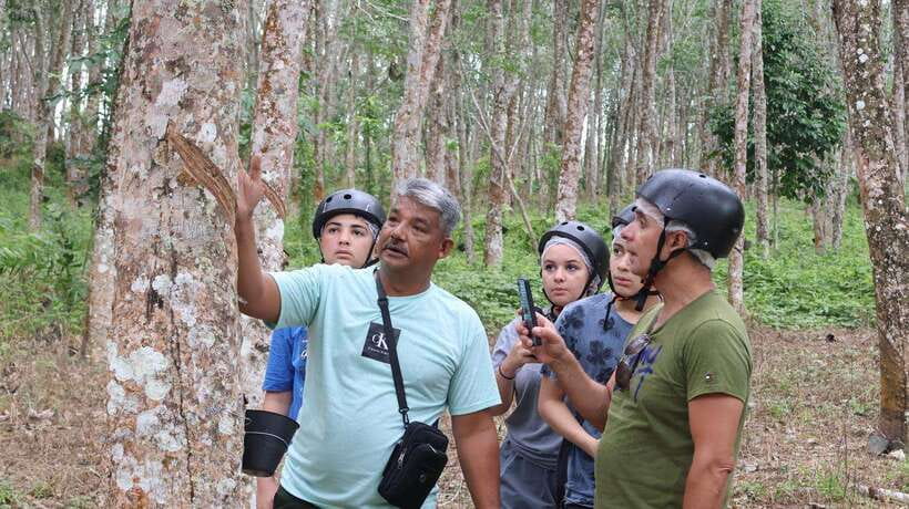 Langkawi Jungle and Waterfall Adventure - Meeting Near Panda Vapor: Fast Start, Clear Setup, No Guesswork