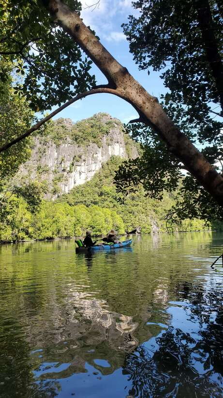 Langkawi : Kilim Geoforest Mangrove Kayak Tour with Lunch - Where Kilim Geoforest feels different from a regular boat trip