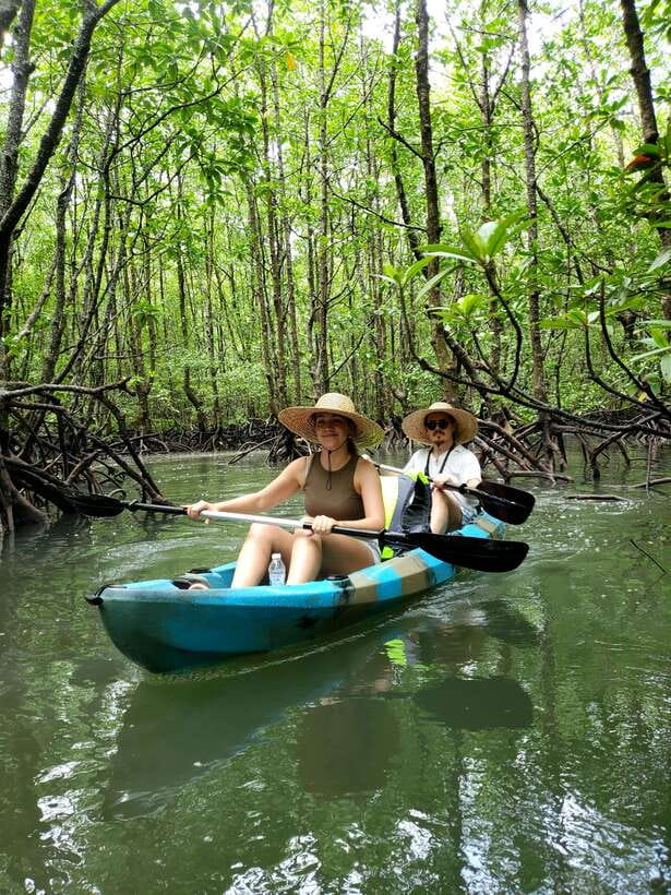 Langkawi : Kilim Geoforest Mangrove Kayak Tour with Lunch - Value for $59, and why this can be worth paying a bit more