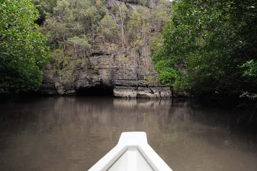 Langkawi: Kilim Geopark Mangrove Tour with Eagle Watching - About the guide and language: what you’ll hear on the boat