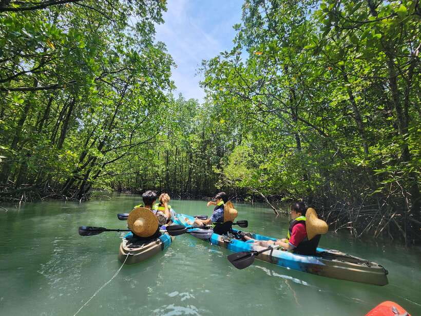 Langkawi : Kilim Mangrove Boat & Fun Kayak Tour with Lunch - Key things to know before you go