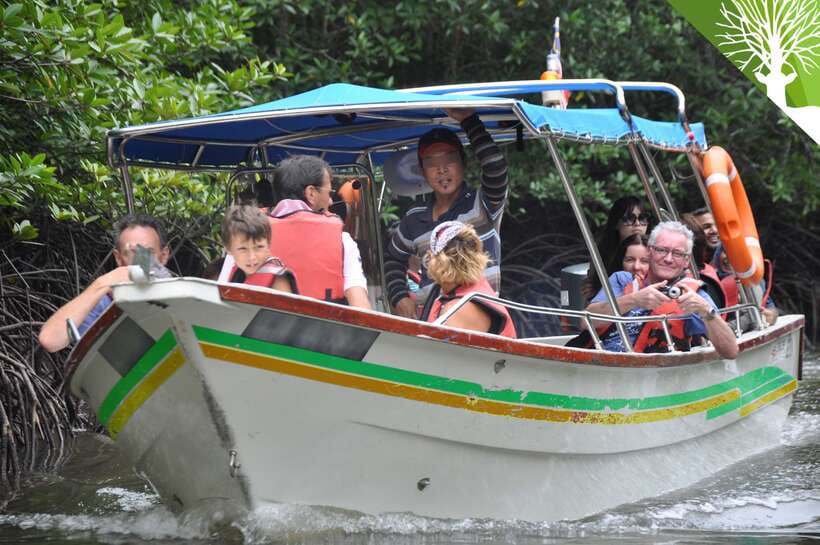 Langkawi: Kilim Mangrove Boat Tour with Lunch and Pickup - From Hotel Pickup to a Tidal Mangrove World