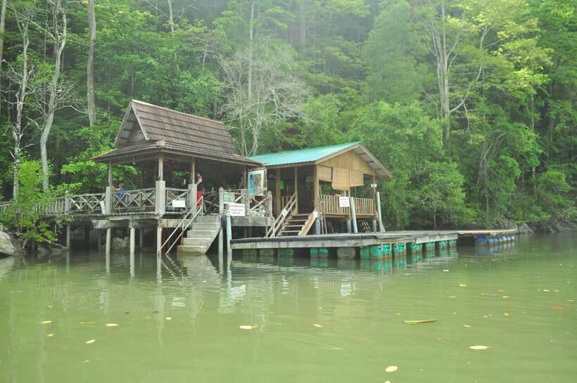 Langkawi: Kilim Mangrove Boat Tour with Lunch and Pickup - Beach Stop and Swimming: Short, Weather-Dependent, Worth Packing For
