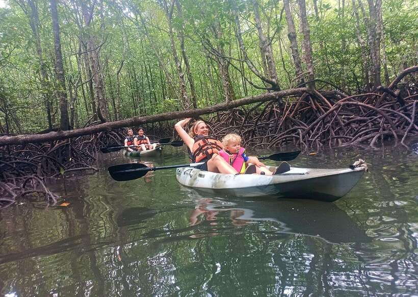 Langkawi: Kilim River Mangrove Safari Kayaking Tour - The Bat Cave stop: seeing insect-eating bats without rushing