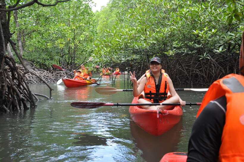 Langkawi: Kilim River Mangrove Safari Kayaking Tour - What to bring: your comfort kit for sun, mud, bugs