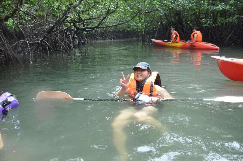 Langkawi: Kilim River Mangrove Safari Kayaking Tour - Price and value: what you actually pay for at $71