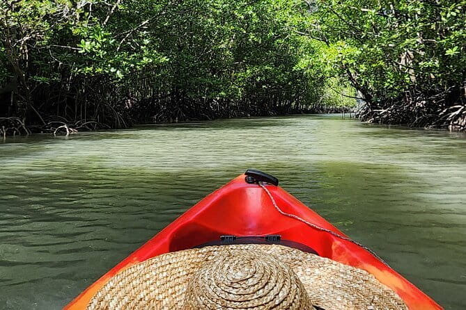 Langkawi Mangrove Kayak Tour by Sham - Getting to Kilim River Tourism Jetty and your 4-hour rhythm