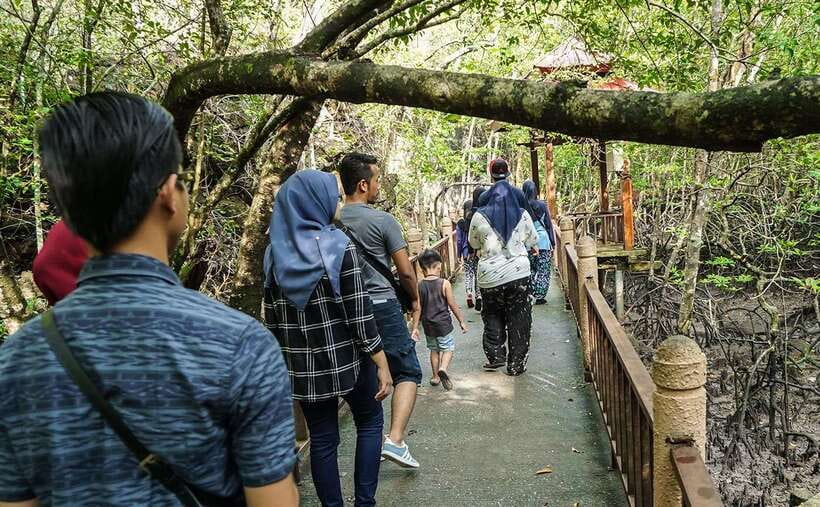 Langkawi: Mangrove Kilim UNESCO Geopark & Cave Tour - Limestone sea stacks and UNESCO Geopark scenery you can actually interpret