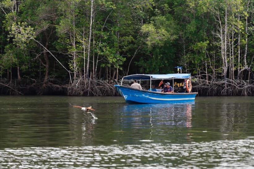 Langkawi: Mangrove River Cruise Sharing 3 Hours - First Stop: Finding the AD Mangrove Tour Counter