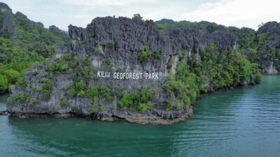 Mangrove River Cruise Sharing 3 Hours