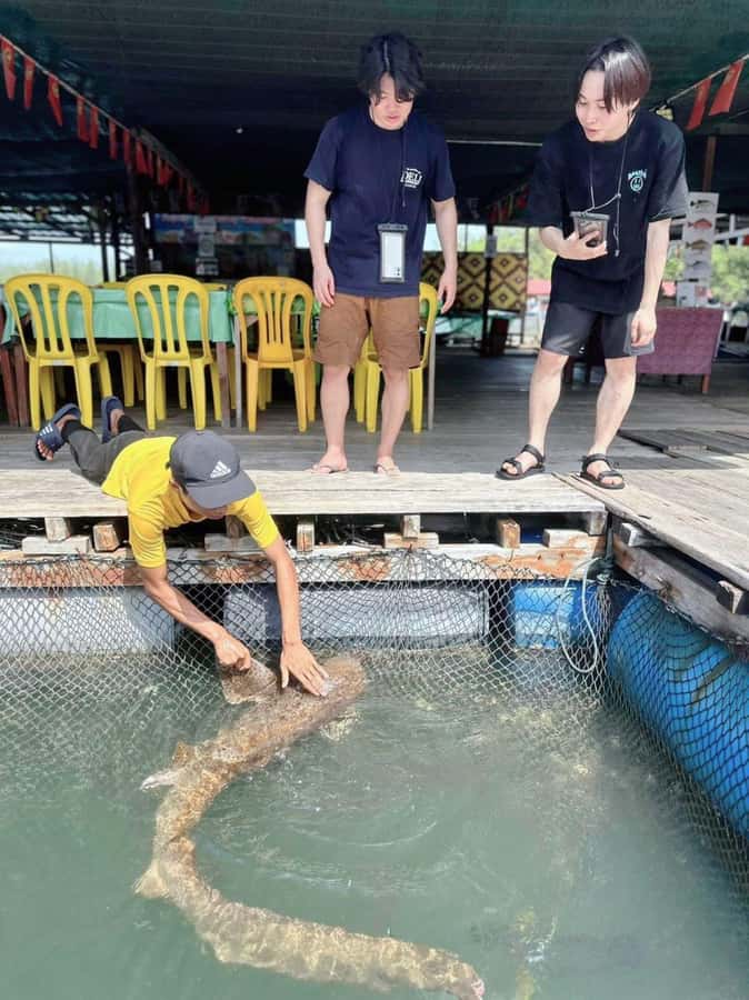Langkawi Mangrove : Sharing Boat 3Hour estimated (lunch) - Lunch at the floating restaurant: is it worth choosing the lunch option?