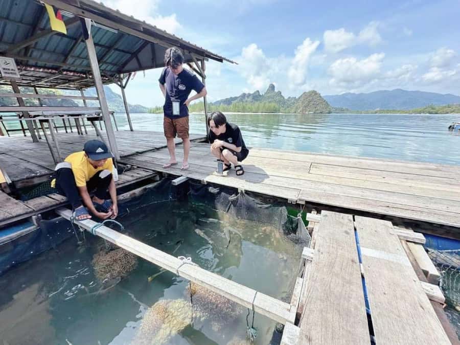 Langkawi Mangrove : Sharing Boat 3Hour estimated (lunch) - Boat comfort, timing, and how to dress for a 3-hour water ride