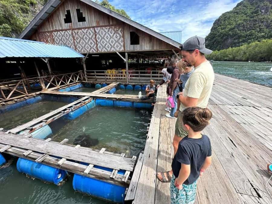 Langkawi Mangrove Tour : Estimated 2 hours Lunch Available - Stop by stop: what happens from mangroves to Bat Cave