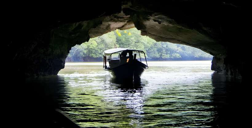 Langkawi: Mangrove Tour with Kilim Geoforest Park & Bat Cave - Boat Ride Through the Andaman Sea, Plus Mangrove Learning