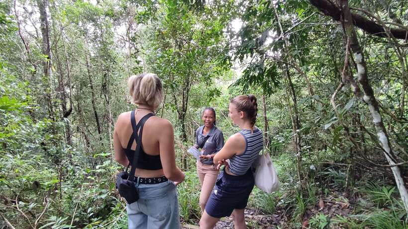 Langkawi SkyTrail Hiking and Cable Car Experience - Key Things to Know Before You Go