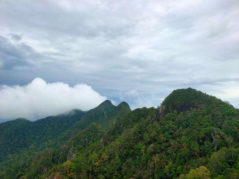 Langkawi SkyTrail Hiking and Cable Car Experience - Your Guide Matters, and Ali Is a Big Example