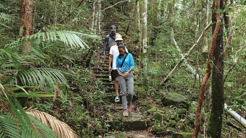 Langkawi SkyTrail Hiking and Cable Car Experience - The Steep SkyCab Cable Car, Fast Views and an Easy Switch