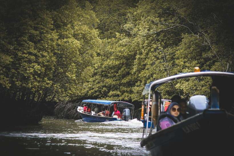 Langkawi: Tanjung Rhu Mangrove Speedboat Tour - Crocodile Cave: Limestone Shapes You Read Like a Puzzle