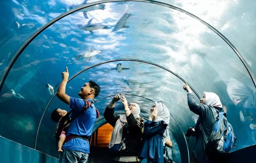 Langkawi: Underwater World Langkawi Entry Ticket - Getting There and Redeeming Your Ticket