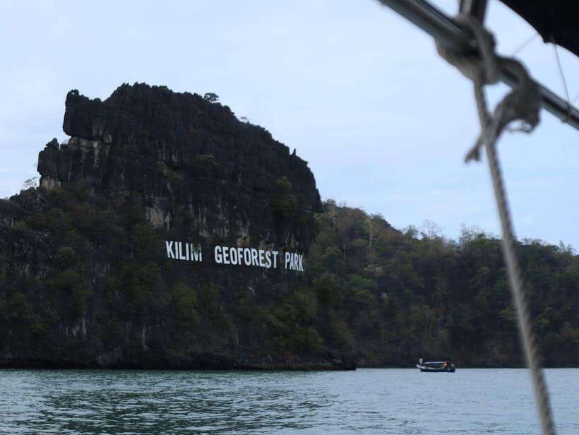 Langkawi: UNESCO Global Geopark Mangrove Cruise - The main event: two hours on a long-tail boat