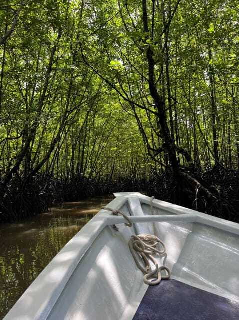 Langkawi: UNESCO Global Geopark Mangrove Cruise - Group size and what it does for your comfort