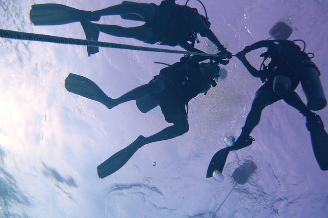 Learn to Dive | RAID Open Water 20 Diver Course | Kota Kinabalu - How the 3-Day RAID Open Water 20 Course Runs on Boats