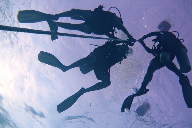 Leisure Diving | Fun Dives | 3 Dives in TARP, Kota Kinabalu - Gear, Permits, and Time Saved: What You Do and Do Not Need to Bring