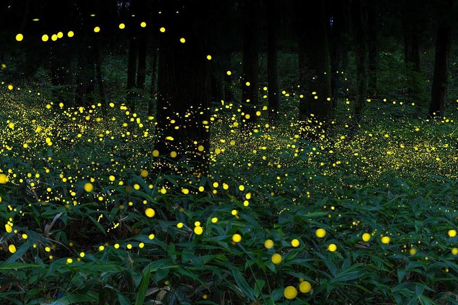 Magical Fireflies Tour - Sungai Buloh, a quick temple window, and why these stops are more about pacing
