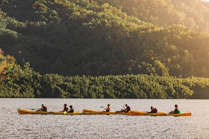 Mangrove Kayaking Experience in Borneo - Price and Value: What You Get for About $29