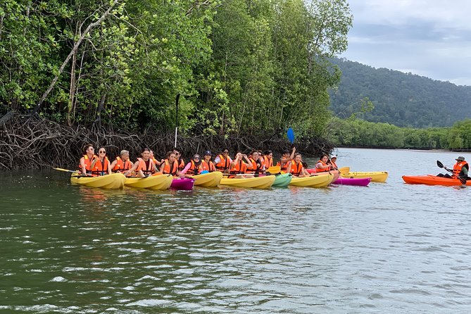 Mangrove Kayaking Tour from Langkawi - Key reasons this kayaking tour works