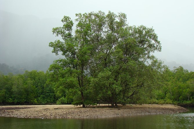 Mangrove River Cruise and Snorkeling Tour from Langkawi - Mangrove river cruise, snorkeling, and caves in one 3-hour outing