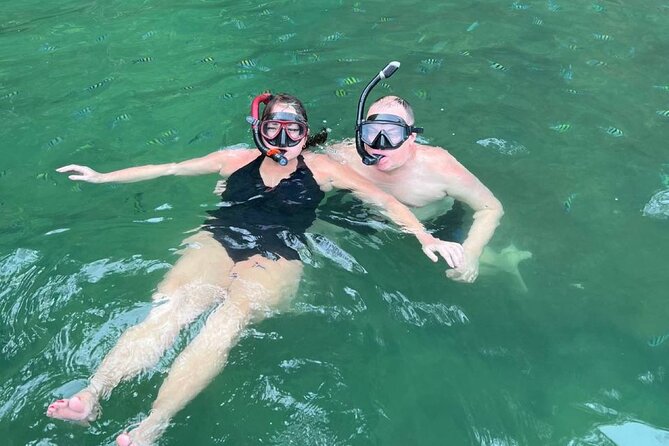 Mangrove River Cruise and Snorkeling Tour from Langkawi - JungleWalla’s naturalist guide: what you actually take in on the water