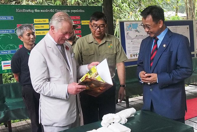 Marvellous Creature Orangutan : Sarawak Semenggoh Wildlife Centre Tour - Inside the visit: what the one-hour admission feels like