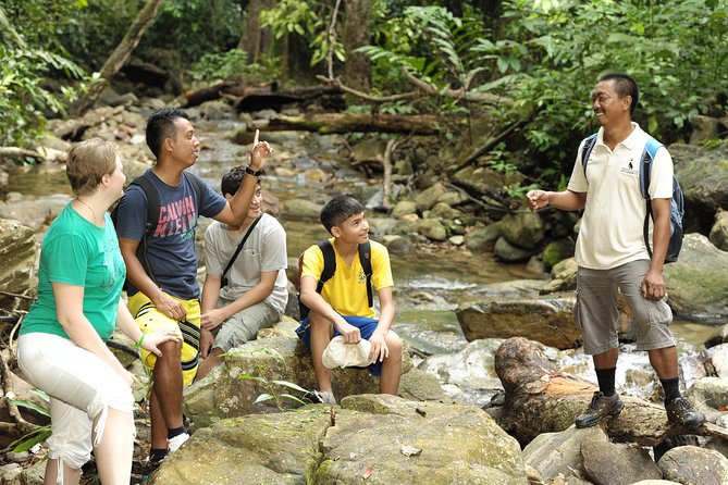 Morning Rainforest Walking from Langkawi - Key Things To Know Before You Go
