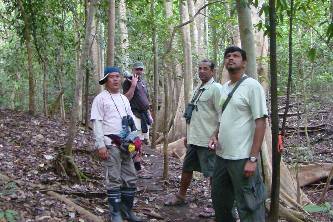 Morning Rainforest Walking from Langkawi - Langkawi Morning Rainforest Walking, The Quick Pitch