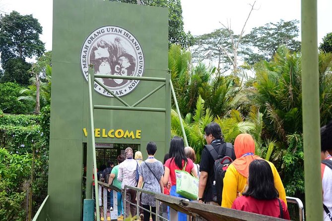 Orang Utan Island Day Tour - Getting around: drivers, vehicle comfort, and group size reality