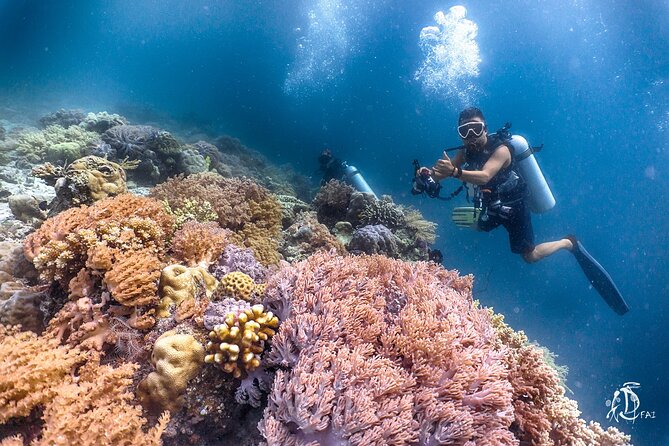 PADI Advanced Open Water Course Kota Kinabalu - Day two and the 5 elective specialties that earn your Advanced card