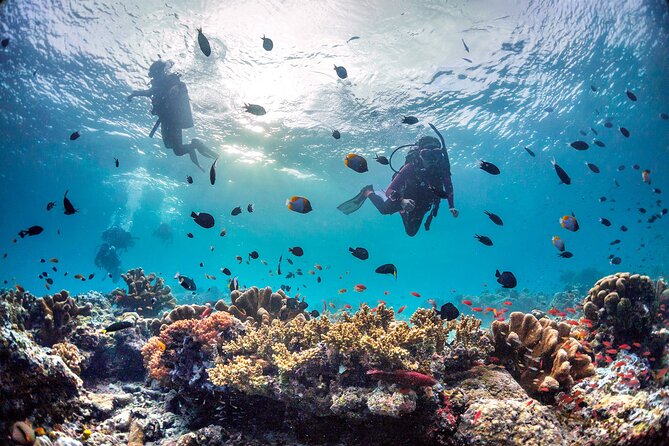 PADI Advanced Open Water Course Kota Kinabalu - Before you step on the boat: check in, paperwork, and your PADI kit