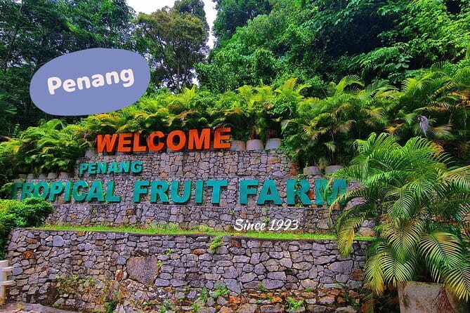 Penang Airport Transfer - Comfort You Can Feel Fast: Air-Conditioning, Bottled Water, and a Disciplined Driver