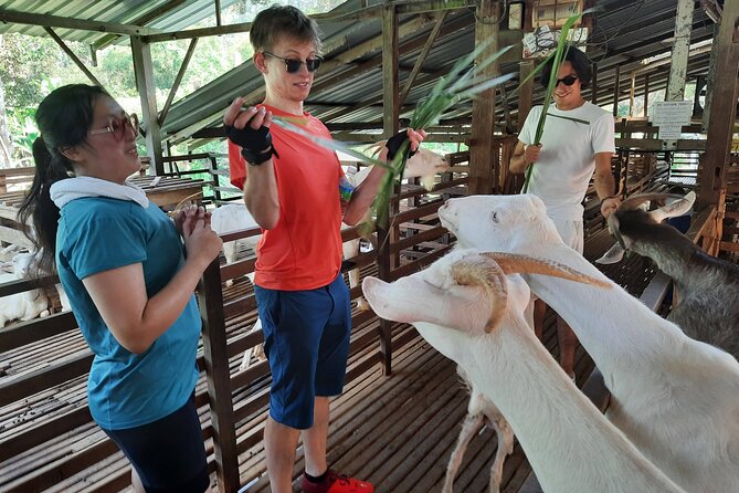 Penang Countryside Cycling Tour. PPA2 by Matahari - Why This Half-Day Ride Feels Like You Got Off the Map