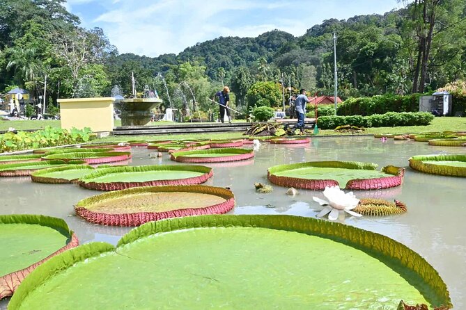 Penang Nature Escape: Penang Hill, Botanical Gardens & Ferringhi - Stop 2: Kek Lok Si Temple and the included inclined lift